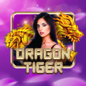 Dragon Tiger dabet biz live casino